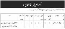 Cmh Lahore Cantt Jobs 2026 – CMH Lahore Medical College & Institute of Dentistry Jobs 2026 — original newspaper advertisement