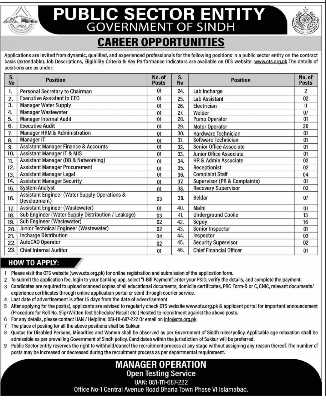 Public Sector Entity, Government of Sindh Jobs 2026 Jobs 2026 — original newspaper advertisement