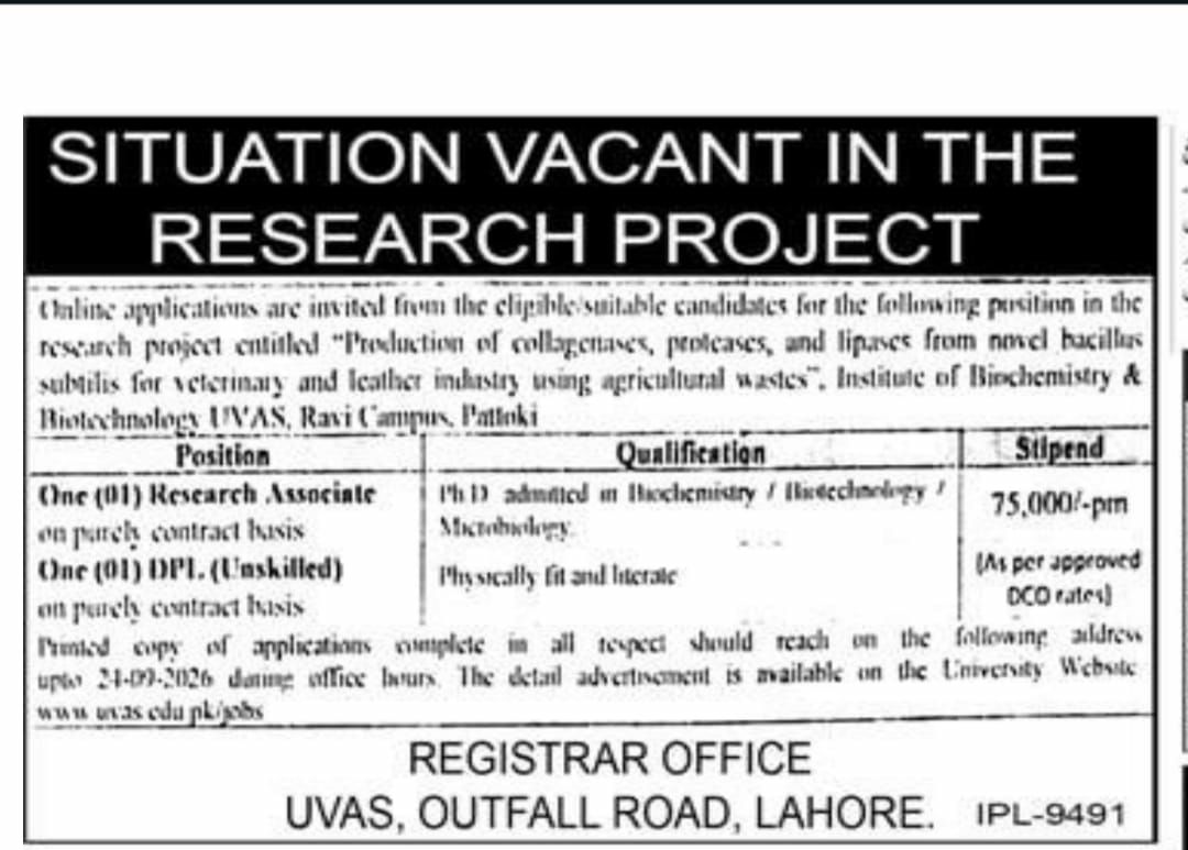 Institute of Biochemistry & Biotechnology, UVAS, Ravi Campus, Pattoki Jobs Jobs 2026 — original newspaper advertisement