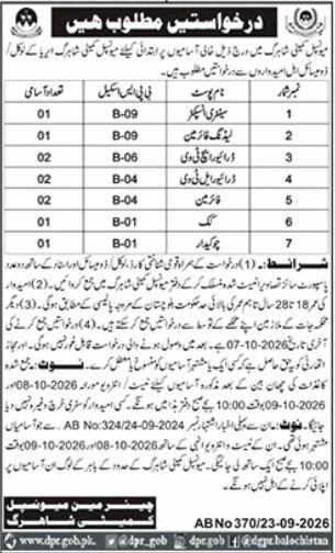 District Municipal Corporation, Turbat / Domicile Municipal Committee, Turbat Jobs Jobs 2026 — original newspaper advertisement