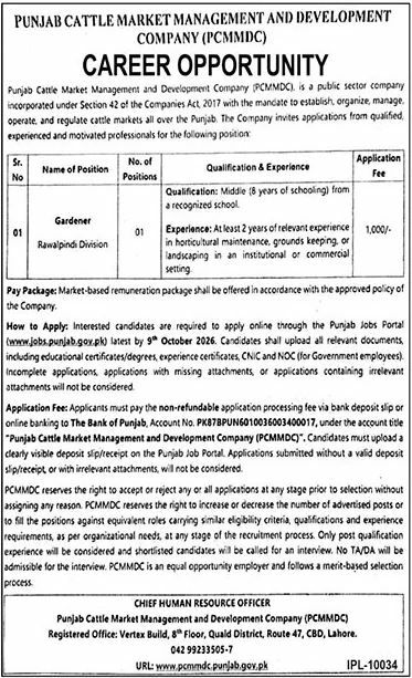 Punjab Cattle Market Management and Development Company (PCMMDC) Jobs Jobs 2026 — original newspaper advertisement