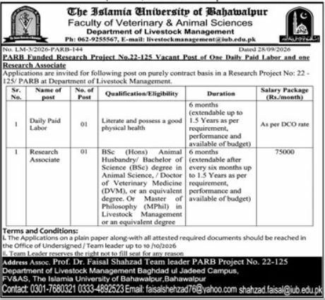 The Islamia University of Bahawalpur, Faculty of Veterinary & Animal Sciences Jobs 2026 – The Islamia University of Bahawalpur, Faculty of Veterinary & Animal Sciences, Department of Livestock Management Jobs 2026 — original newspaper advertisement