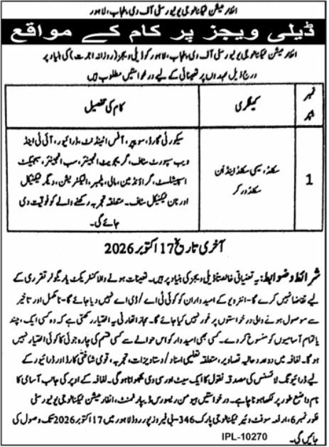 Information Technology University of the Punjab Jobs 2026 – Anderson Champion Murray Russell Off Day Punjab, Lahore Jobs 2026 — original newspaper advertisement