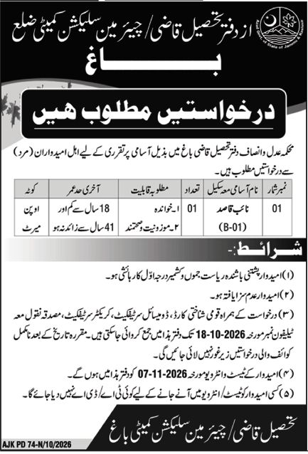 Office of Tehsildar / Chairman District Selection Committee Bagh Jobs Jobs 2026 — original newspaper advertisement
