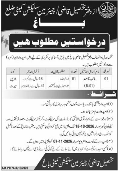 Office of Tehsildar Qazi / Chairman District Selection Committee Bagh Jobs Jobs 2026 — original newspaper advertisement