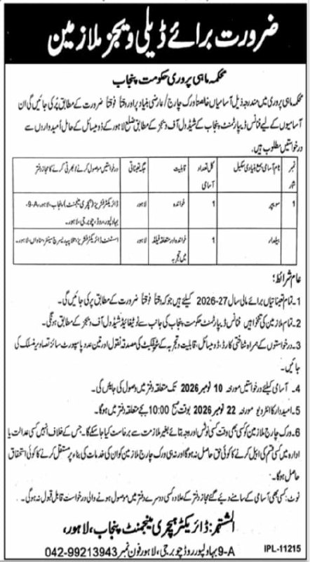 Department of Forestry Punjab Jobs 2026 – Department of Forestry, Government of Punjab Jobs 2026 — original newspaper advertisement