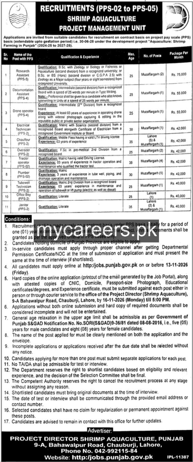 Project Director Shrimp Aquaculture, Punjab Jobs 2026 Jobs 2026 — original newspaper advertisement