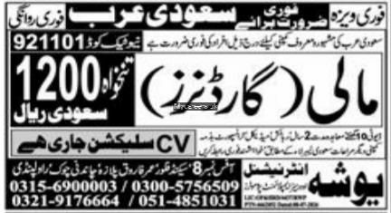Gardeners (Mali) Required for Saudi Arabia – Yosha International Jobs 2026 — original newspaper advertisement