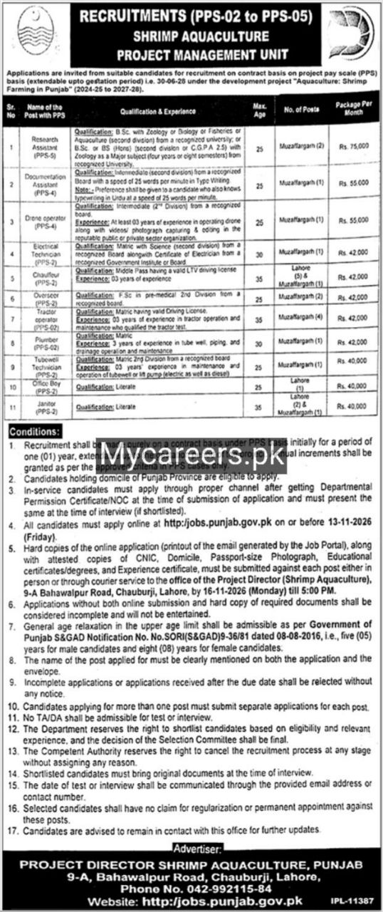 Project Director Shrimp Aquaculture, Punjab Jobs Jobs 2026 — original newspaper advertisement