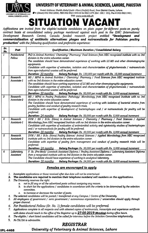 University of Veterinary and Animal Sciences Lahore Jobs 2019 — original advertisement