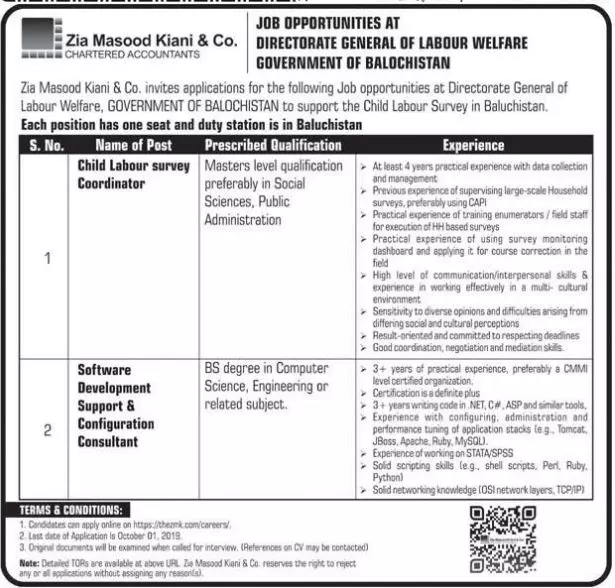 Jobs Director General Labour Welfare Balochsitan – Director General Labour Welfare Balochistan Jobs 2019 — original advertisement