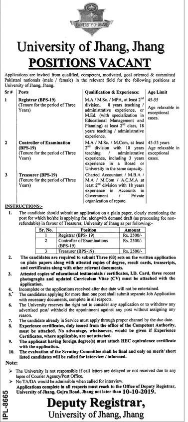 jobs in University of Jhang Jobs 2019 — original advertisement