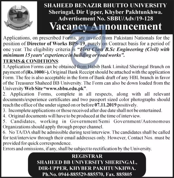 Jobs Shaheed Benazir Bhutto University Dir Up KPK – Shaheed Benazir Bhutto University, Sheringal Dir Upper KPK Jobs 2019 — original advertisement