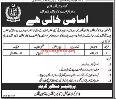 Jobs Education Department Gilgit Baltistan Jobs 2019 — original advertisement