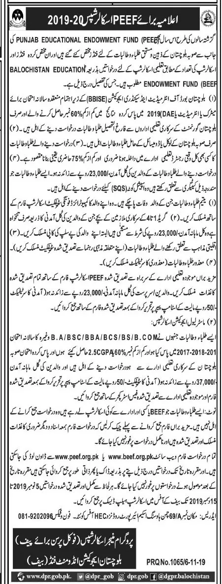 Scholarships Punjab Educational Endowment Fund Balochistan – Punjab Educational Endowment Fund PEEF Scholarships 2019 — original advertisement