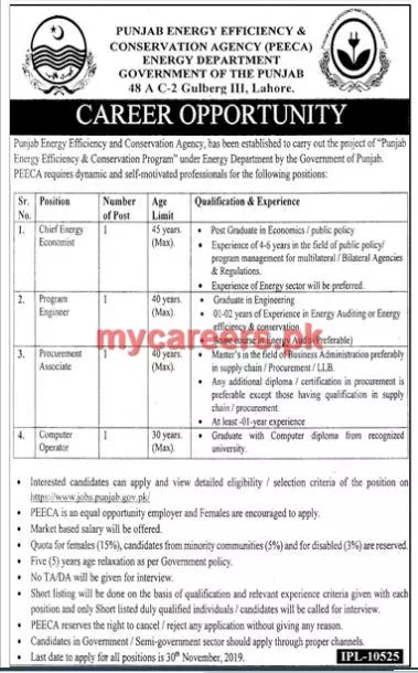 Jobs Energy Department Punjab Jobs 2019 — original advertisement