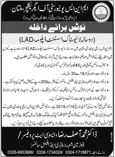 Jobs In University of Agriculture Multan Jobs 2019 — original advertisement