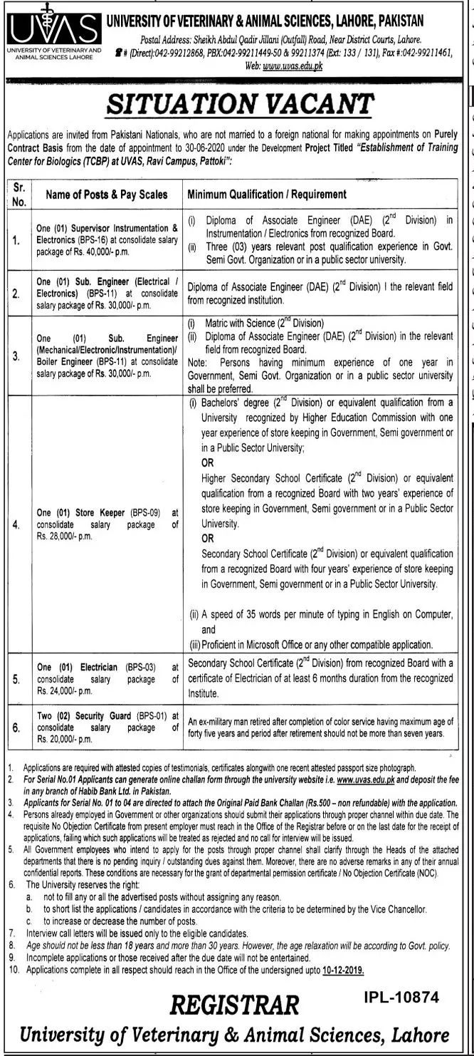Jobs University of Veterinary and Animal Sciences Lahore Jobs 2019 — original advertisement