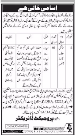 Jobs World Bank Funded Project Karachi Sindh – Govt of Sindh Jobs 2019 — original advertisement