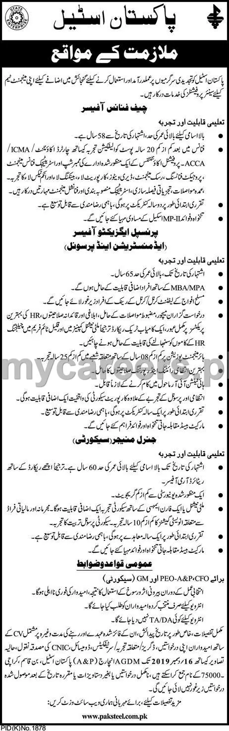 Jobs Pakistan Steel Mills Karachi Jobs 2019 — original advertisement