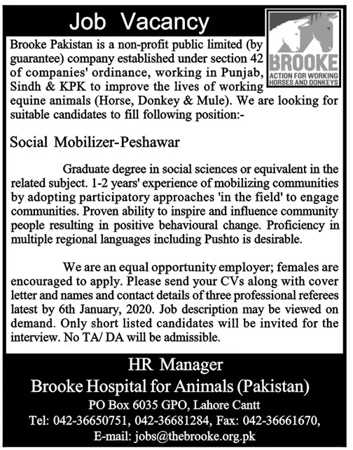 Jobs The Brooke Hospital for Animal Peshawar – Brooke Hospital for Animals Jobs 2019 — original advertisement