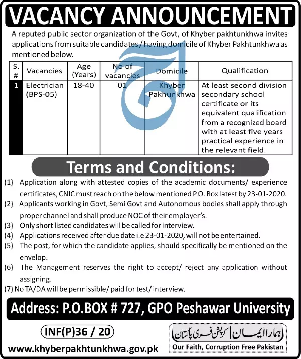 Jobs Public Sector Organization Peshawar Kpk Jobs 2020 — original advertisement