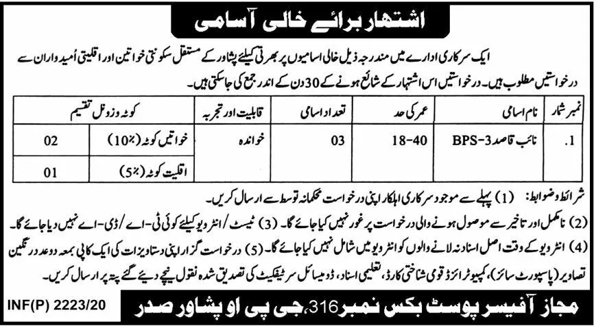 Jobs Public Sector Organization Peshawar Kpk Jobs 2020 — original advertisement