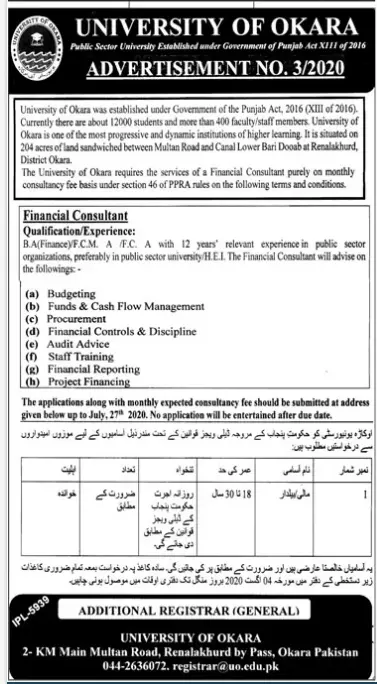 Jobs University of Okara Jobs 2020 — original advertisement