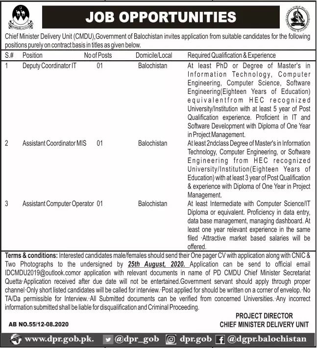 Jobs Chief Minister Delivery Unit Balochistan Jobs 2020 — original advertisement