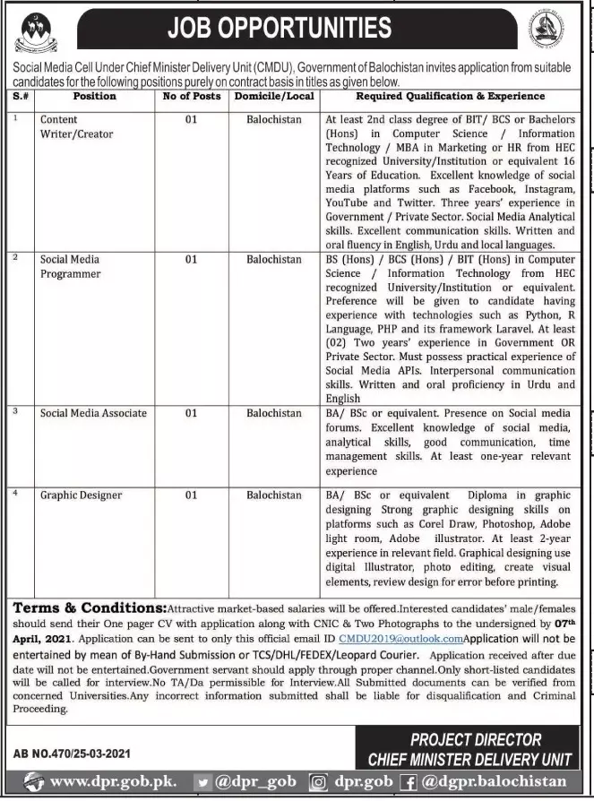 Chief Minister Delivery Unit Balochistan Jobs 2021 Jobs 2021 — original advertisement