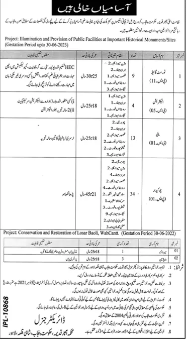 Jobs in Department of  Archeology Govt of Punjab Jobs 2021 — original advertisement