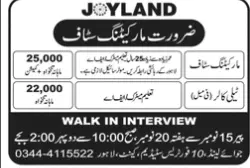 Jobs in Pakistan JOYLAND 10 Fortress Stadium Cantt Lahore – Private Sector Organization Jobs 2021 — original advertisement