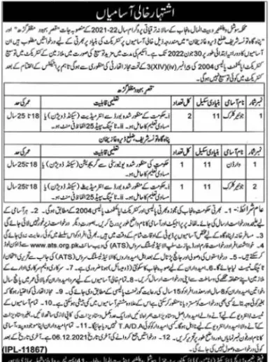 Jobs Social Welfare Bait-ul-mall Punjab – Social Welfare & Bait-Ul-Maal Department Punjab Jobs 2021 — original advertisement