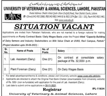 Jobs University of Veterinary & Animal Sciences Lahore – University of Veterinary and Animal Sciences Lahore Jobs 2021 — original advertisement