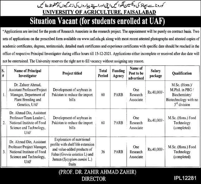 Jobs in Pakistan University of Agriculture Faisalabad Jobs 2021 — original advertisement