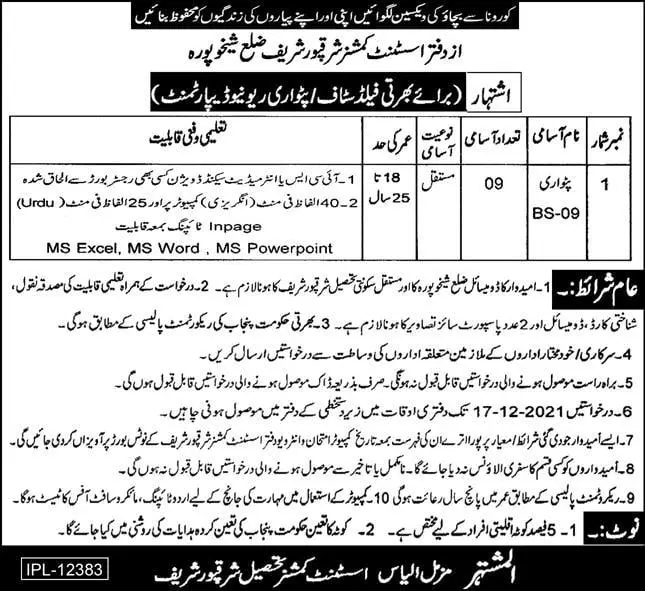Revenue Department Punjab Jobs Jobs 2021 — original advertisement