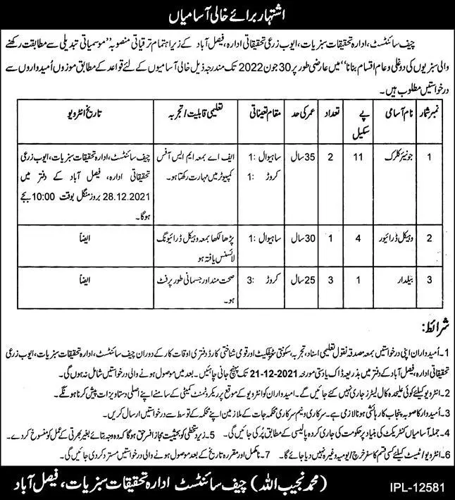 Ayub Agriculture Research Institute Faisalabad Jobs – Private Sector Organization Jobs 2021 — original advertisement