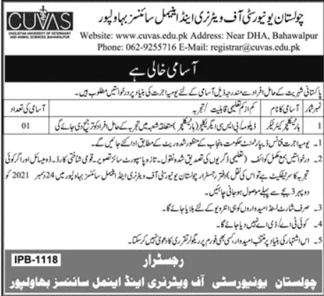 Cholistan University of veterinary & Animal Sciences Jobs – Cholistan University of Veterinary and Animal Sciences Bahawalpur Jobs 2021 — original advertisement