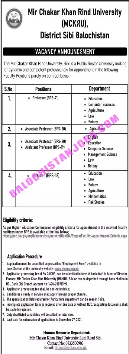 Jobs In Pakistan Mir Chakar Khan Rind University Sibi Jobs 2021 — original advertisement