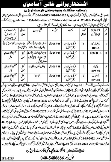 Forest Department chichawatni Punjab Jobs – Forest Wildlife & Fishries Department Punjab Jobs 2022 — original advertisement