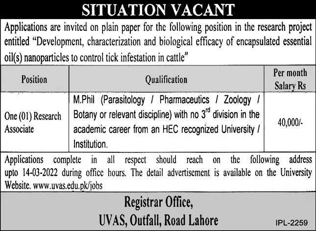 Jobs University of Animal Sciences (UVAS) Lahore – University of Veterinary and Animal Sciences Lahore Jobs 2022 — original advertisement
