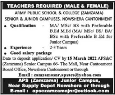 Army Public School & College Zamzama  Jobs – Army Public School & College Paksitan Jobs 2022 — original advertisement