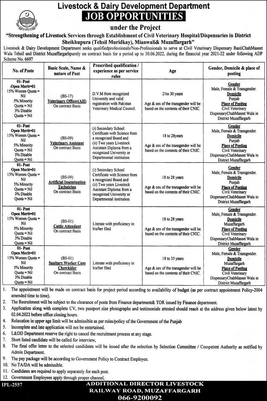 Jobs In Livestock & Dairy Development Department – Livestock and Dairy Development Department Punjab Jobs 2022 — original advertisement