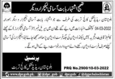 Jobs In Balochistan Residential College Turbat Jobs 2022 — original advertisement