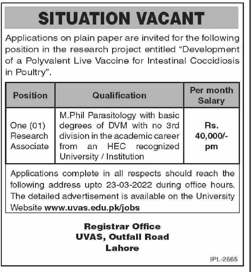 Jobs In University of Veterinary and Animal Sciences lahore Jobs 2022 — original advertisement