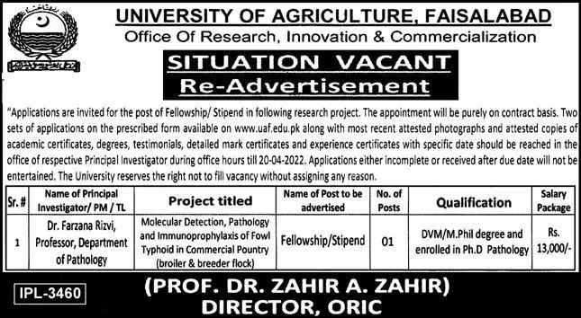 Jobs In University Of  Agriculture Faisalabad – University of Agriculture Faisalabad Scholarships 2022 — original advertisement