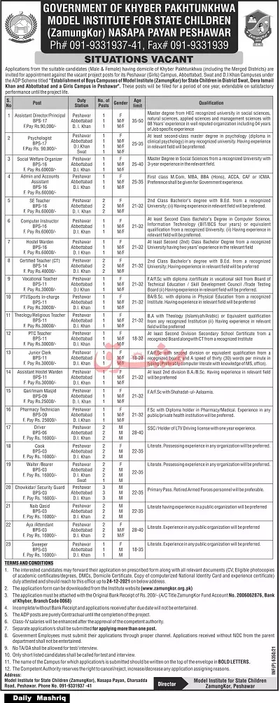 Jobs Model Institute for State Children Zamakor Peshawar – Private Sector Organization Jobs 2021 — original advertisement