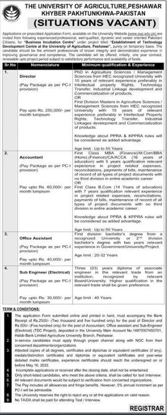 Jobs In University of Agriculture Peshawar – University of Agriculture, Peshawar Jobs 2022 — original advertisement