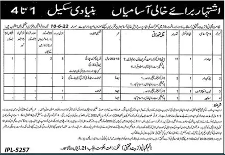 Jobs in Agriculture Department Punjab Jobs 2022 — original advertisement