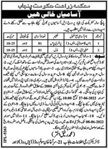Jobs in Agriculture Department Punjab Lahore Jobs 2022 — original advertisement